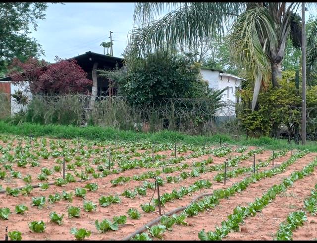 10HA FARM FOR SALE IN NELSPRUIT RURAL